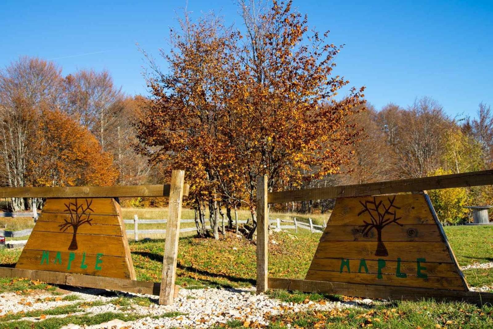 Maple Bungalows Zabljak  Ngoại thất bức ảnh